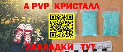 стаф Можга