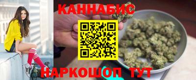 стаф Можга