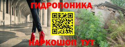 стаф Можга