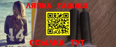 стаф Можга