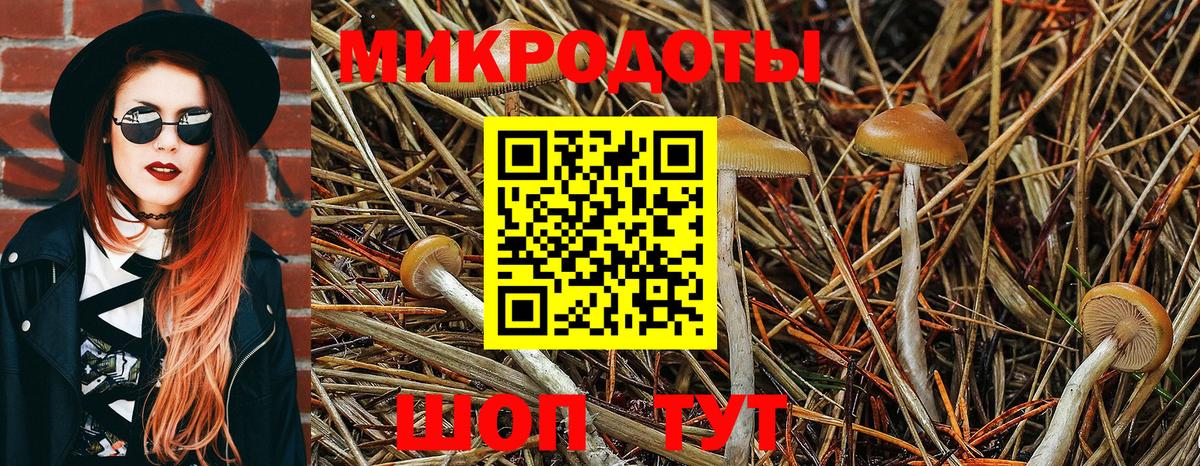 Феодосия  Псилоцибиновые грибы прущие грибы  Вход с VPN  Галлюциногенные грибы GOLDEN TEACHER 